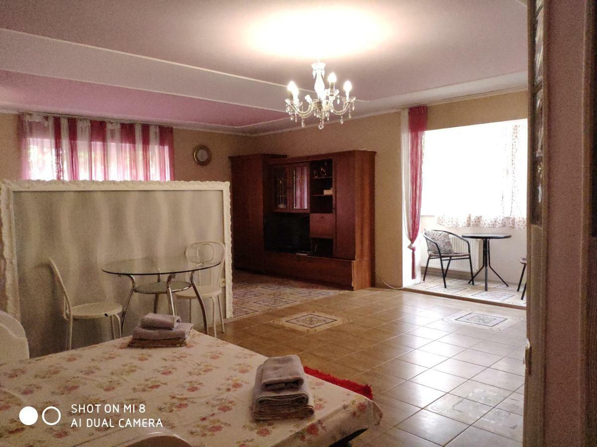 Apartments Domovik Latorichnaya,3 Mukaczewo Zewnętrze zdjęcie
